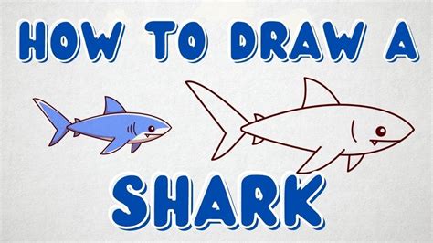 How to Draw a Shark 🦈 - Easy Drawing for Kids | [ New 2022 ]