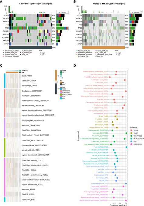 Frontiers Machine Learning Based Neddylation Landscape Indicates