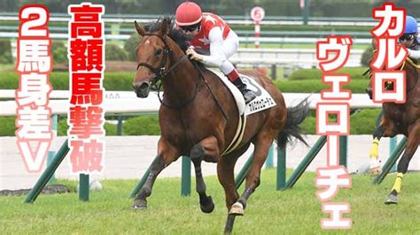 【2歳馬能力診断】カルロヴェローチェが伝説の新馬戦制す！丹下日出夫 競馬予想動画 Netkeiba