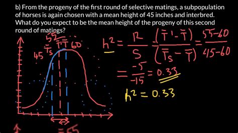 How To Use Narrow Sense Heritability In Calculations Youtube