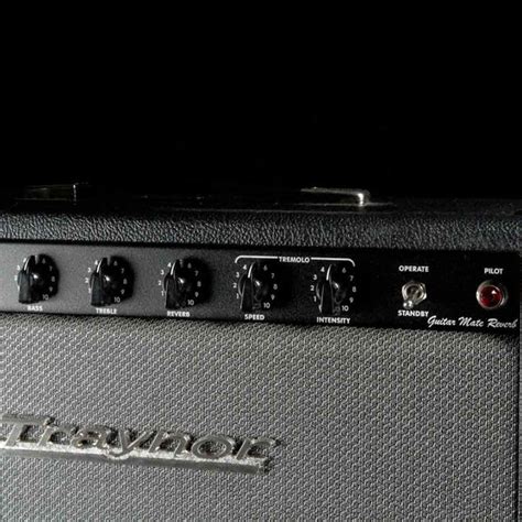 Traynor Ygm 3 Reissue Combo Amplifier The Music Zoo