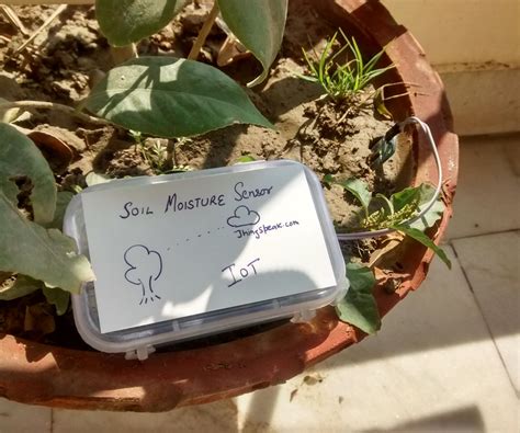 Smart Gardening : 5 Steps (with Pictures) - Instructables