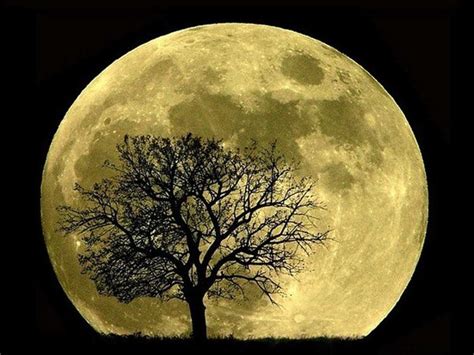 через объектив: Красивые фотографии полной луны