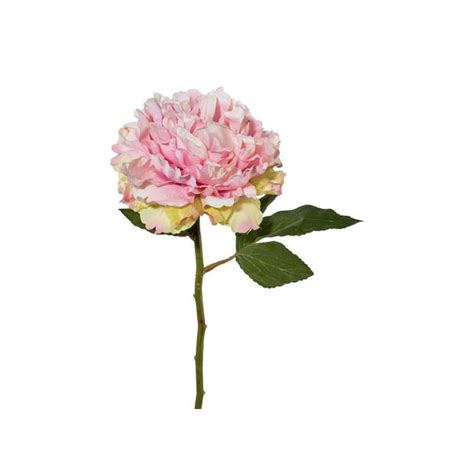 ДЕКОРАТИВНО ЦВЕТЕ БОЖУР 86006070125】 ТОП Цена — Mömax