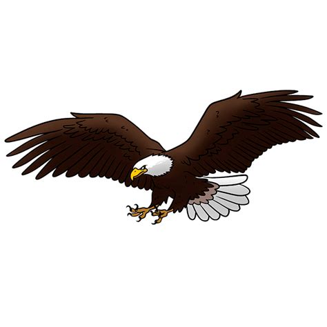 How to Draw a Bald Eagle Flying - Really Easy Drawing Tutorial