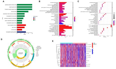 Genes Free Full Text Identification And Validation Of An M7g