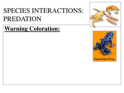 PPT - SPECIES INTERACTIONS PowerPoint Presentation, free download - ID:1446084