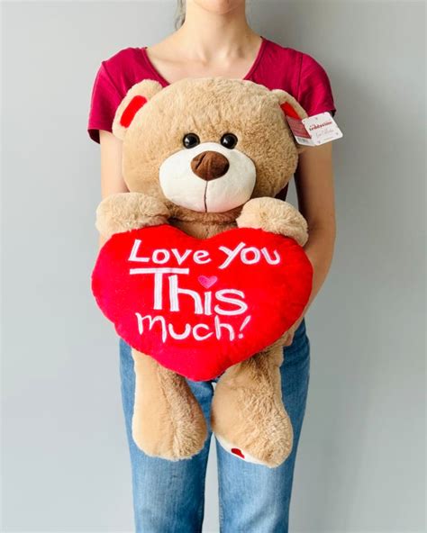 Hug Me Teddy 45cm