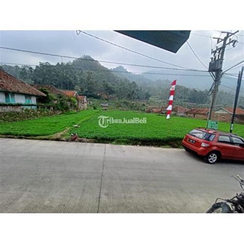 Dijual Tanah Kavling Luasan Dian M Di Ciwidey Bandung Cocok Untuk