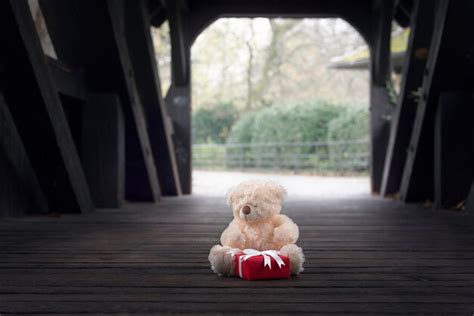 Premium Photo Teddy Bear With T In Covered Bridge