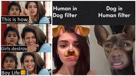 Funny And Relatable Memes 290 Youtube