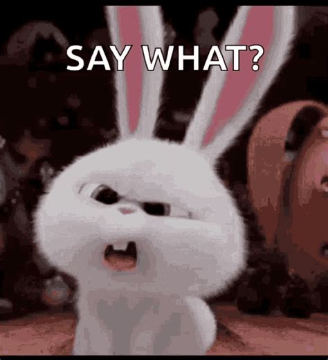 Secret Life Of Pets Rabbit GIF - Secret Life Of Pets Rabbit Snowball - Discover & Share GIFs