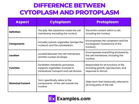 Cytoplasm Structure Function - History of Cytoplasm, Structure, Function, Difference Between ...