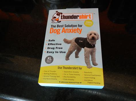 thundershirt review dog travel anxiety