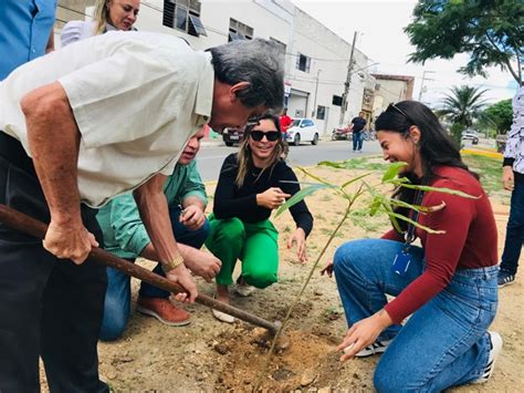 Gest O Gilvandro Inicia Plantio De Mudas Para Arboriza O De Belo