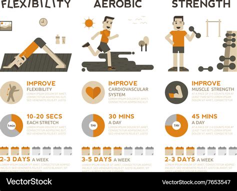 Exercise infographic Royalty Free Vector Image