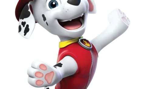 Image Marshall Paw Patrol Png 8 Png Paw Patrol Wiki Fandom Otosection