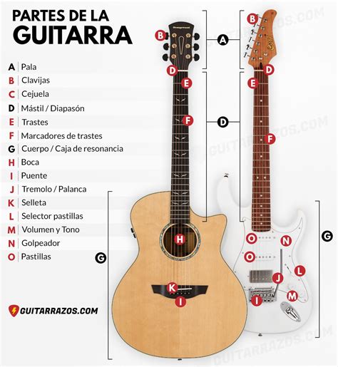 Arriba Imagen Nombre De Las Partes De La Guitarra Hot Sex Picture