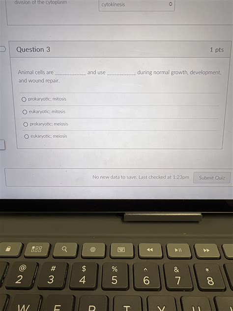 A Non Sex Chromosomeeither An X Chromosome Or A Chegg
