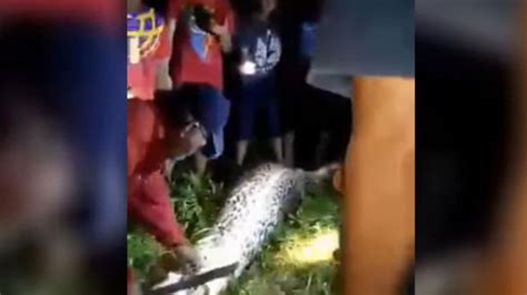 This Video Shows The Moment A Missing Indonesian Man Was Found Inside A