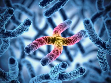 Hurler Syndrome and Stem Cells | Cells4Life