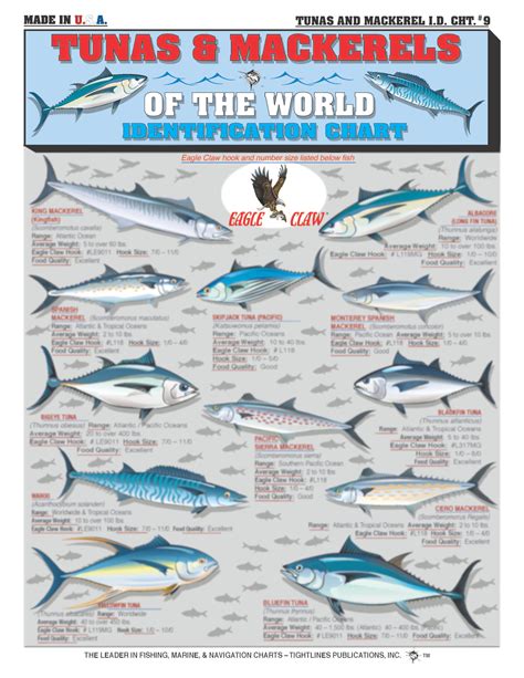 fishing books freshwater fish id guide waterproof fishing chart