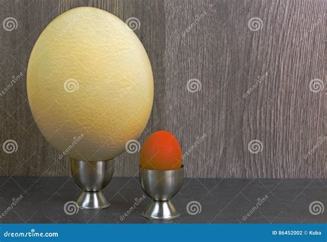 Comparison of Chicken Egg and Ostrich Eggs Stock Photo - Image of meal