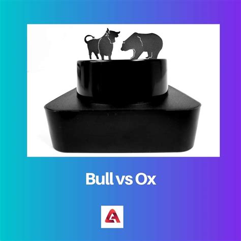 Difference Between Bull and Ox