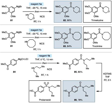 Scheme 1. Syntheses of sulfinamide analogs of amide-and... | Download ...