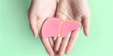 Pediatric Liver Transplant Everything To Know About