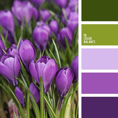 темно-фиолетовый и сиреневый | IN COLOR BALANCE