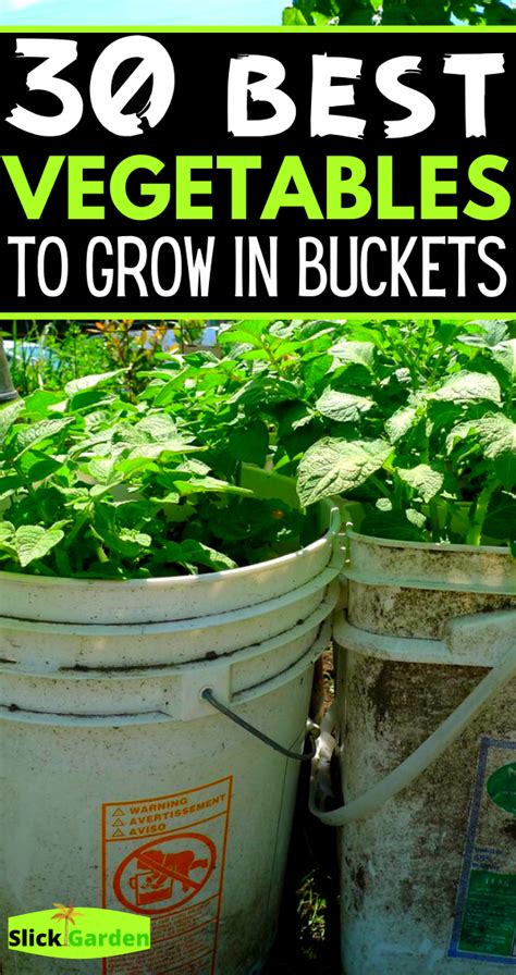 30 Best Vegetables To Grow In Buckets Slick Garden Container