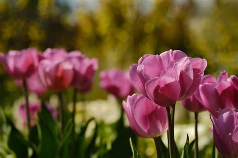 300+ Fujifilm Pictures