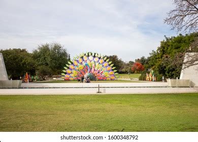 407 Arboretum Arcadia California Images, Stock Photos & Vectors ...