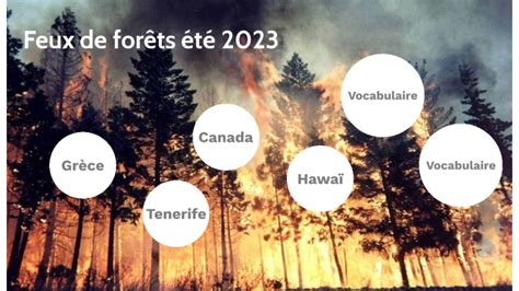 Feux de forêts by Pauline De Wil on Prezi