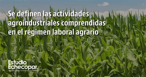 Se Definen Las Actividades Agroindustriales Comprendidas En El R Gimen