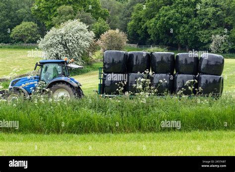 Silage Bales Wrapped In Plastic Loaded Onto A Trailer Ready For