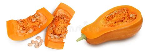 Butternut Squash Or Pumpkin Piece Isolated On White Background With Full Depth Of Field Top