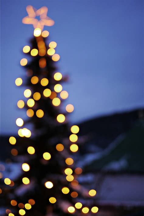 Tannenbaum Lichterkette Lensflares Kostenloses Foto Auf Pixabay Pixabay