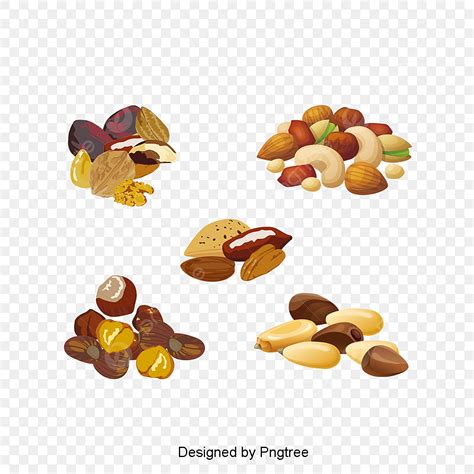 Hand Painted Material Png Picture Cartoon Hand Painted Nuts Food