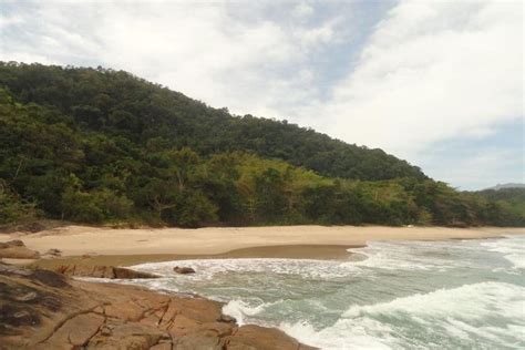 Praia Brava Da Almada Ubatuba PraiasNoBrasil