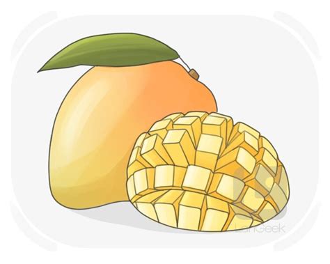 definition meaning  mango picture dictionary