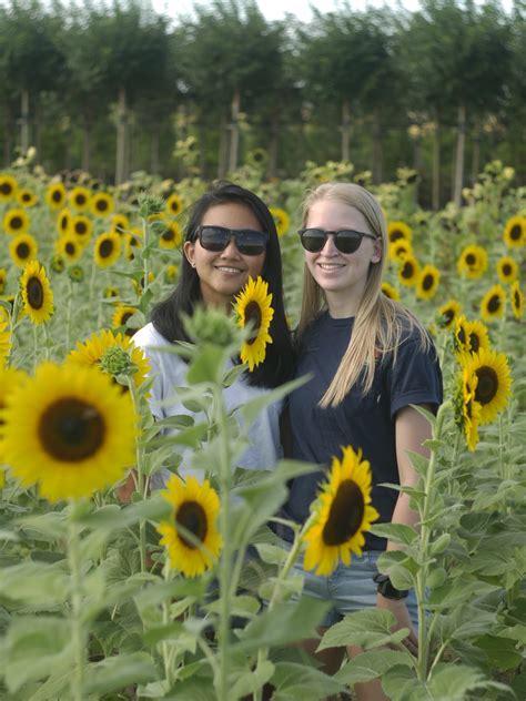 Adorable Lesbian Couples