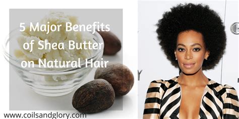 5 Major Benefits Of Shea Butter On Your Natural Hair Coils And Glory