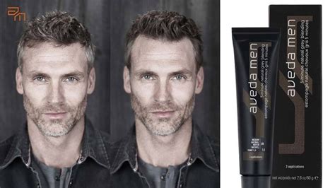 Aveda Mens Grey Hair Blending