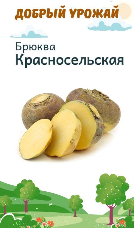 Купить семена брюквы по выгодной цене - доставка и самовывоз