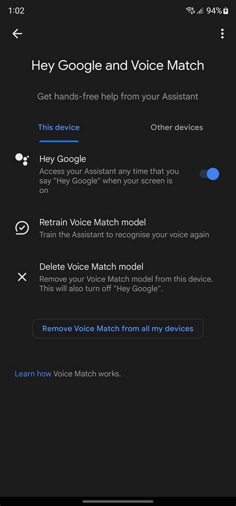 Hey Google Kaise Ho 2
