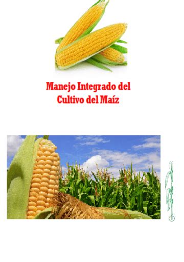 Manejo Integrado del Cultivo del Maíz Libros y Manuales de Agronomia