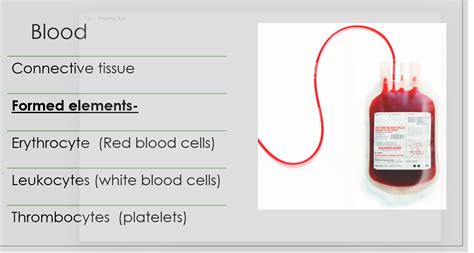 Introduction to Phlebotomy POWER POINT (Health Sciences, Nursing ...