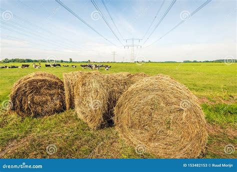 Large Rolls Of Dried Grass In The Foreground Of An Agricultural Landscape Stock Image Image Of